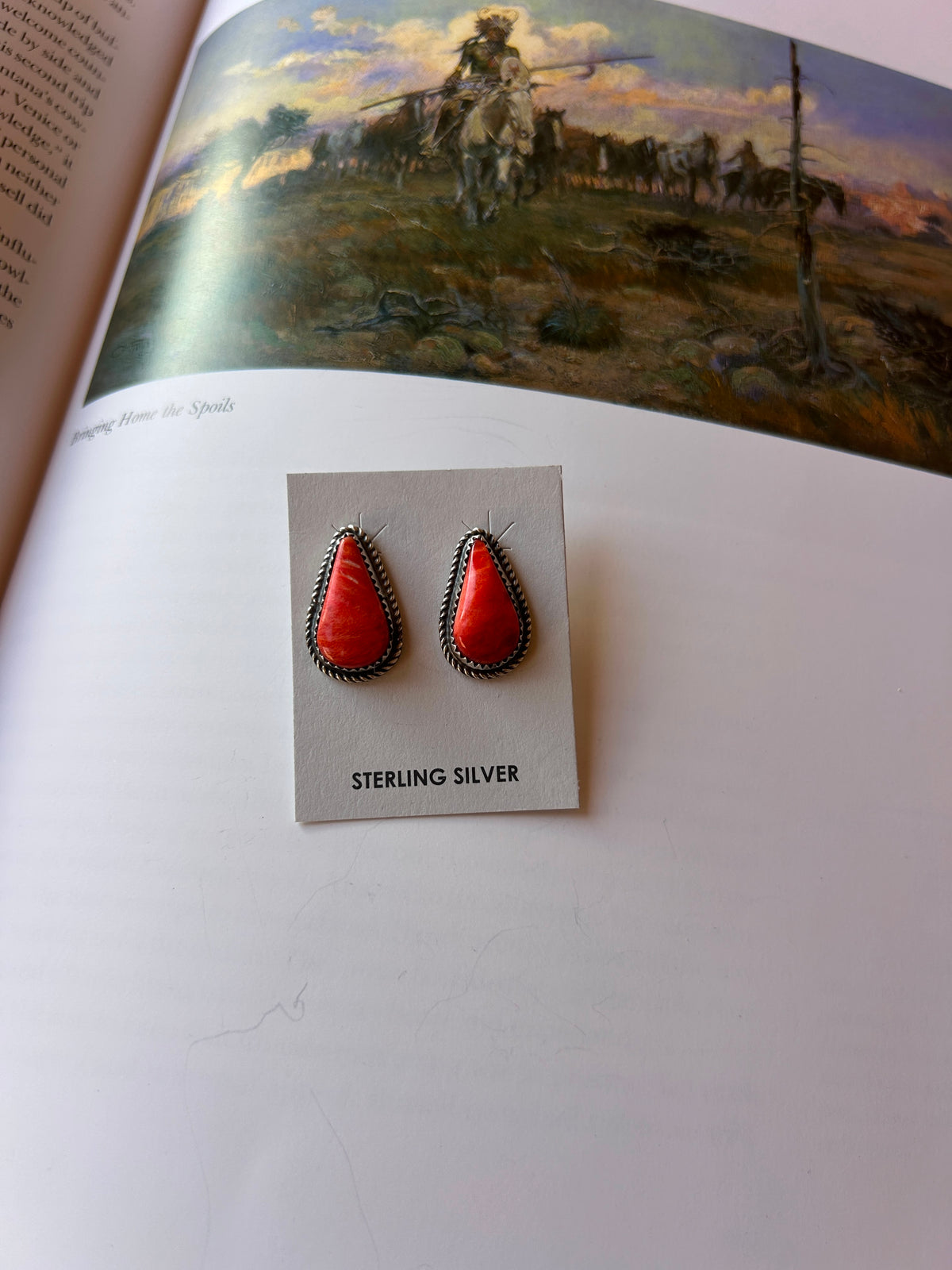 Spiny Oyster Studs