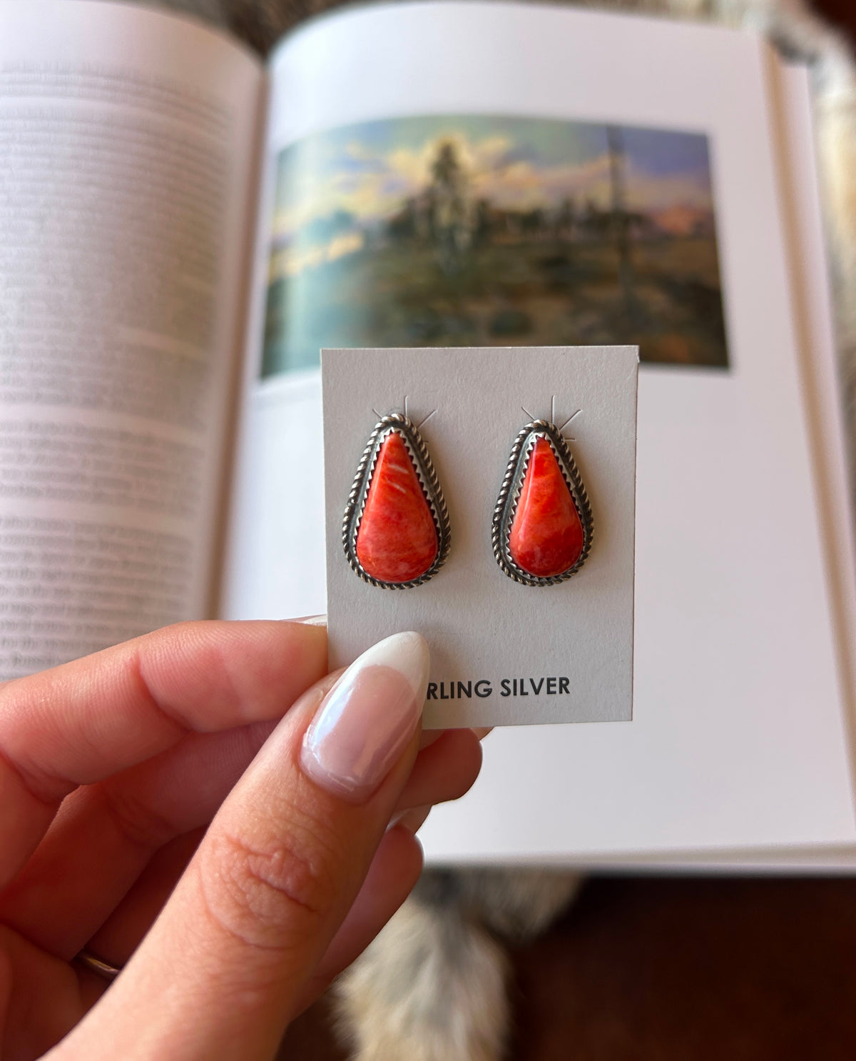 Spiny Oyster Studs
