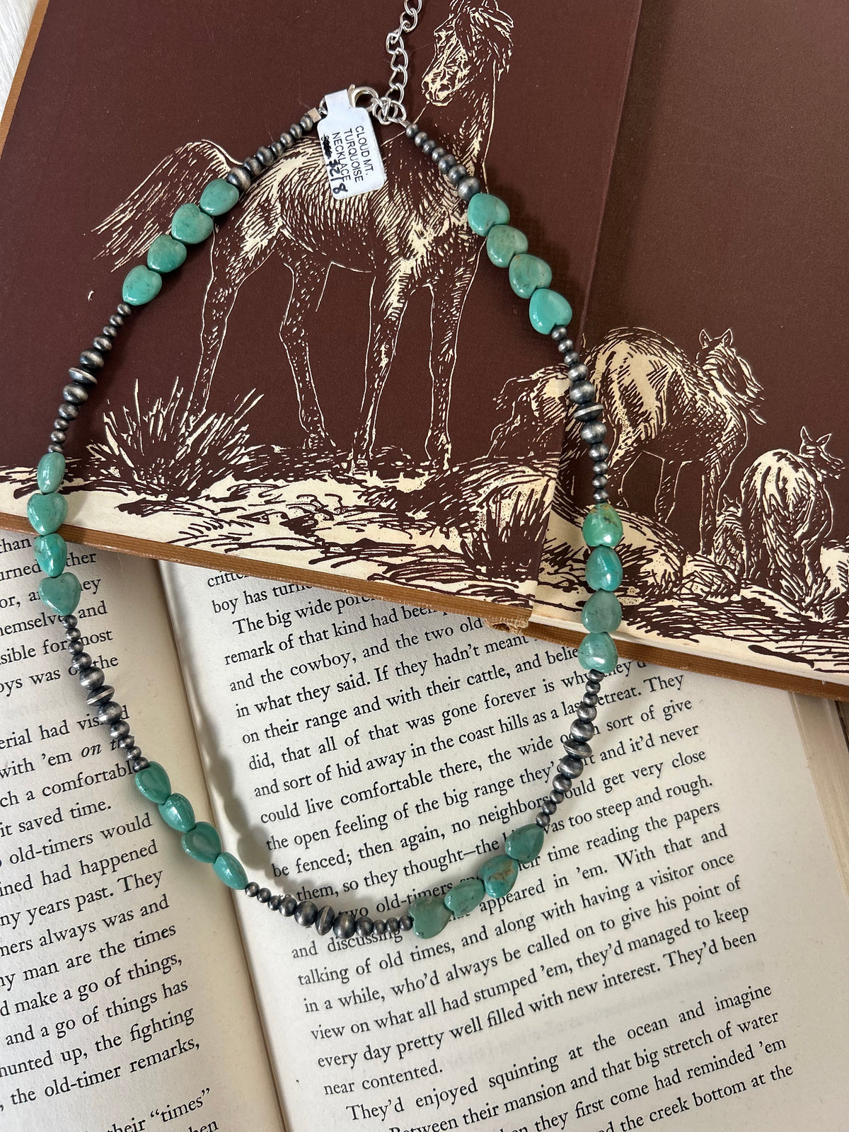Heart Cloud Mountain Turquoise Necklace 16"+2"Ext.